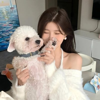 家裂 第三季